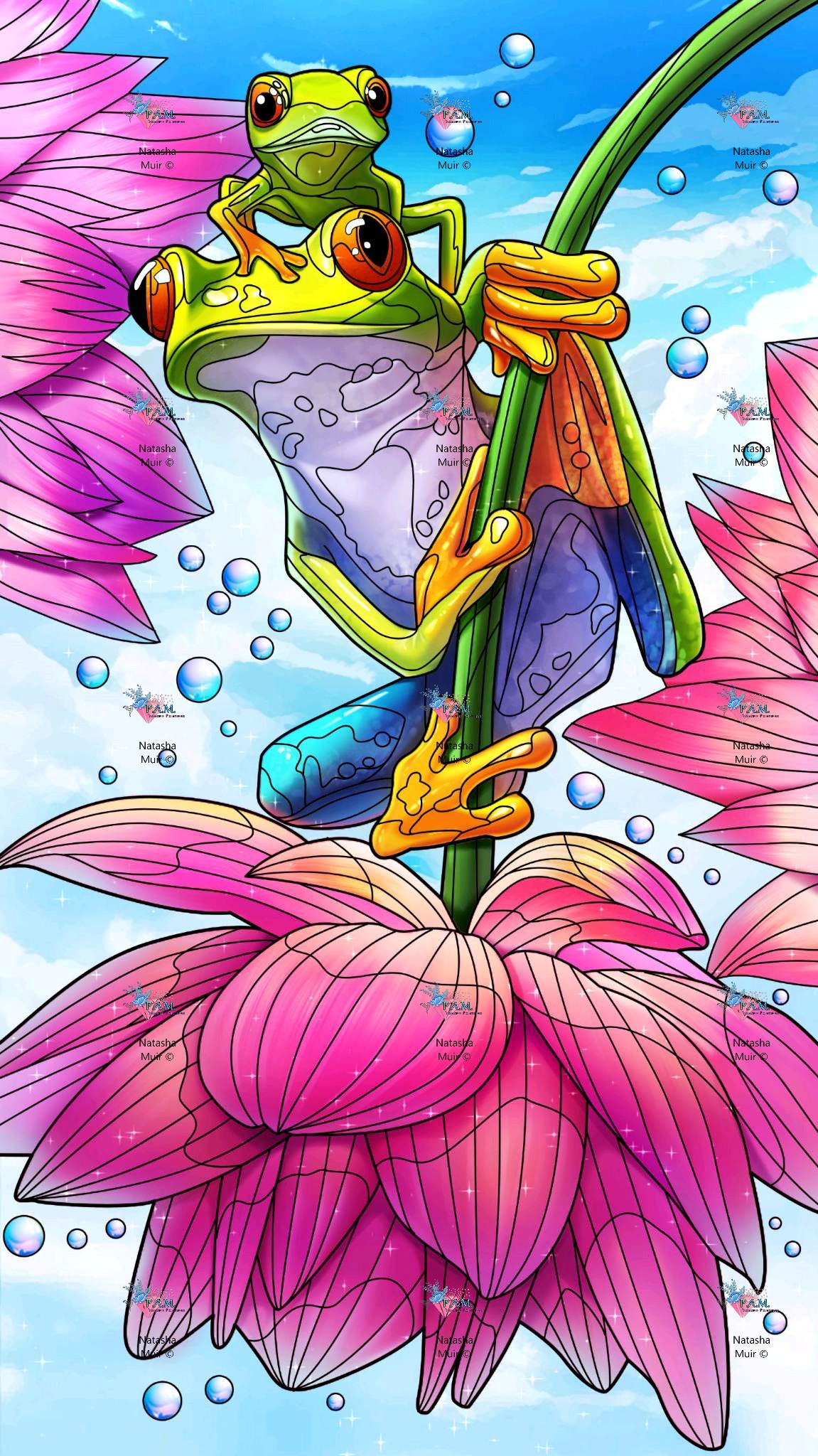 PREORDERKermit and Quibbit by Natasha Muir © 50*90 cm Full Drill With