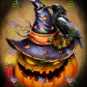 PREORDER Raven by Natasha Muir © 60*75 cm Full Drill with some ABs