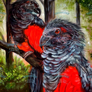 PREORDER Parrots by Zack Dunn of A Beautiful Nightmare © 60*75 cm Full Drill with some ABs