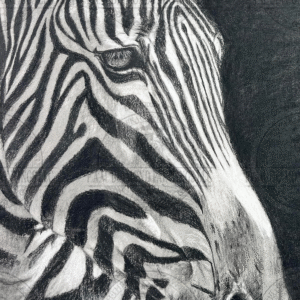 PREORDER Stripes of Silence by Kerri Dixon Art © Full Drill with some ABs